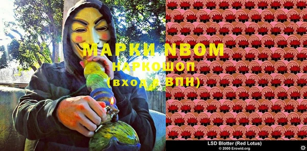 2c-b Богородицк