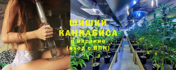 2c-b Богородицк