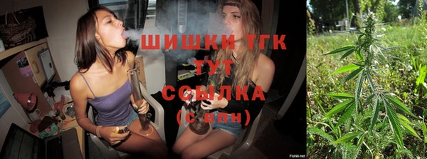 2c-b Богородицк