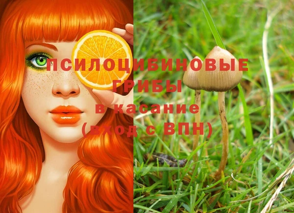 винт Богданович